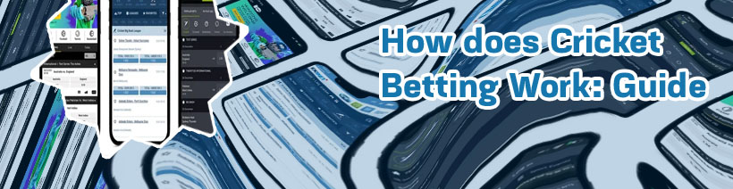 How to bet in baji bet app