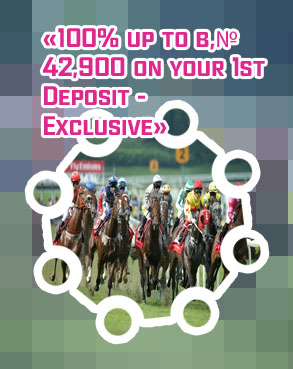 How to play horse racing on baji bet
